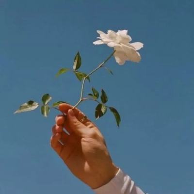 荒野求生无限资源存档版下载