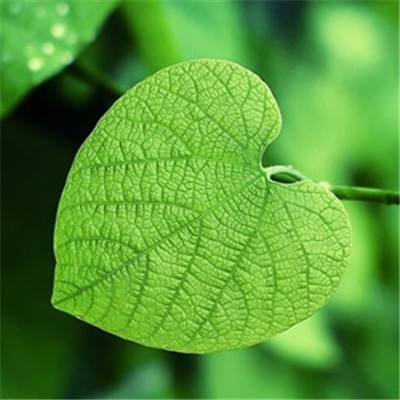 奋进新征程的科学指引